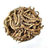 Picrorhiza Kurrooa